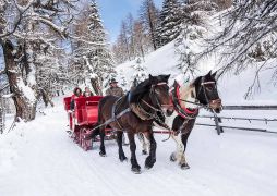 Pferdeschlittenfahrt